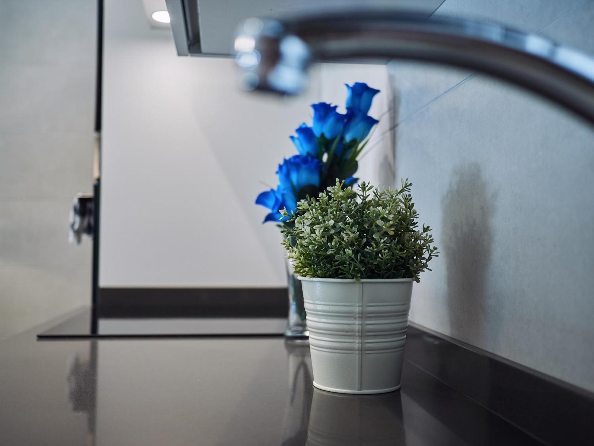 Apartament Amara Prime San Sebastián Zewnętrze zdjęcie